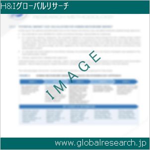 グローバルリサーチ調査レポートのイメージ